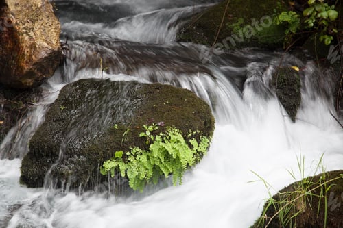 Preview: River Cascading Around Rocks Outdoors