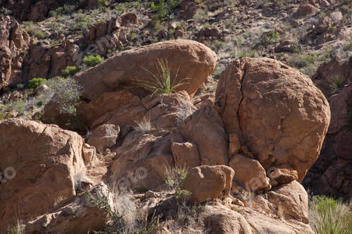 Preview: Landscape Of Southwest Usa Desert