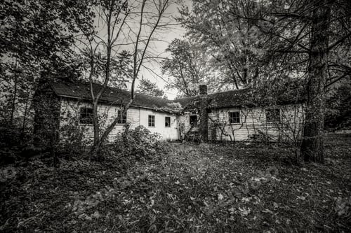 Preview: Haunted House In Dark Forest