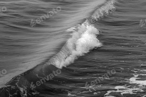 Preview: Ocean Surf In The Morning Sunshine In Black And White