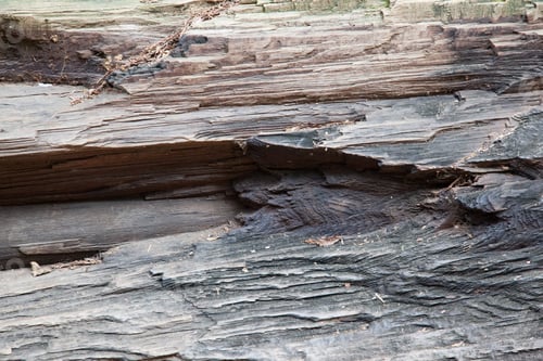 Preview: Abstraction In Rough Wood Outdoors