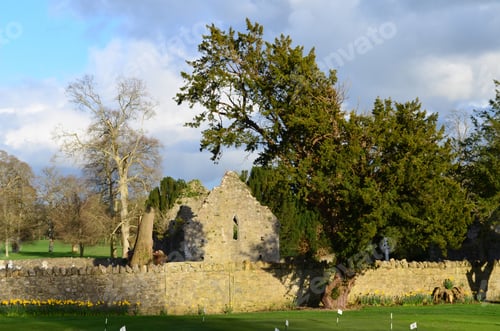 Preview: The Ruins Of The Adare Franciscan Friary Formerly Known As The Church Of St Michael Archangel Of