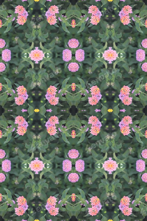 Preview: A Lantana Bush Abstract With Pink Purple Yellow Orand And White Flowers 6819