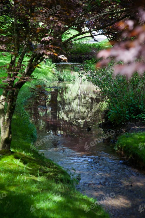 Preview: Stream With Trees Being Reflected In It