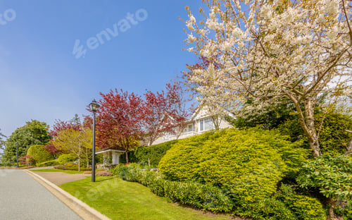 Preview: A Perfect Neighborhood. Houses In Suburb At Spring In The North America.