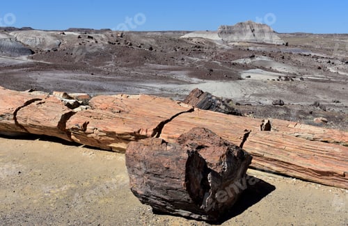 Preview: Beautiful Painted Desert With Petrified Logs In The Foreground.
