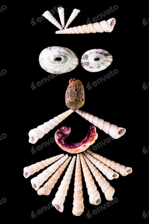 Preview: Sea Shells Arranged So That They Create A Face Emanating Emotion
