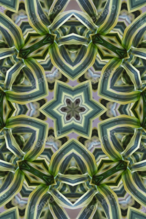 Preview: A Song Of India Dracaena Reflexa Plant Abstract With Brightly Striped Leaves 2677