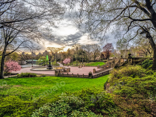 Preview: Central Park, Manhattan, New York City In Spring