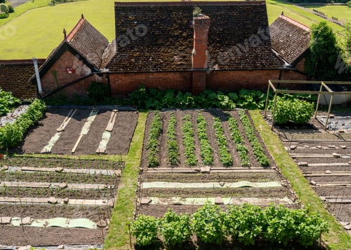 Preview: Garden Allotments Growing Vegetables By Castle Walls In Shrewsbury, England