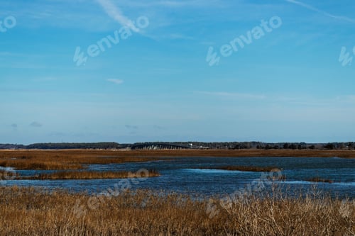 Preview: Wetland Landscape With Blue Sky