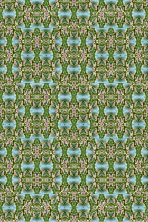 Preview: A Plumeria Rubria Plant Abstract With Lush Green Leaves 0561