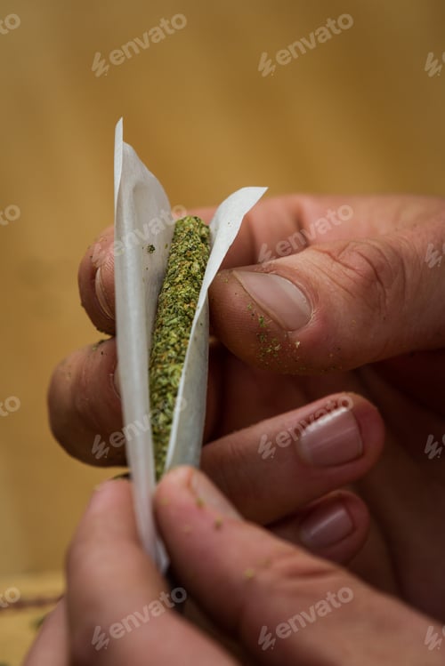 Preview: Close Up Of Fingers Rolling A Marijuana Joint With A Shallow Depth Of Field