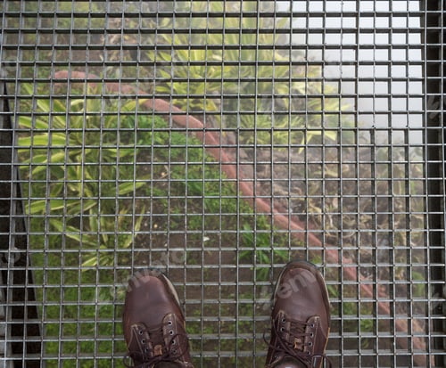 Preview: Looking Down Into Mist At Cabo Girao Sea Cliff Near Funchal On Madiera