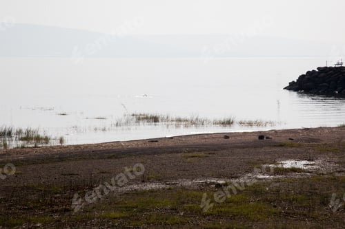 Preview: Shore Of The Sea Of Galilee In Israel
