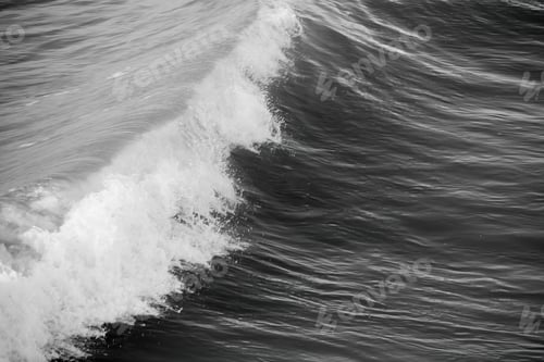 Preview: Ocean Waves In Black And White