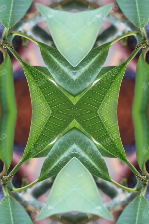 Preview: An Abstract Of Fresh Green Plumeria Rubra Leaves 0048