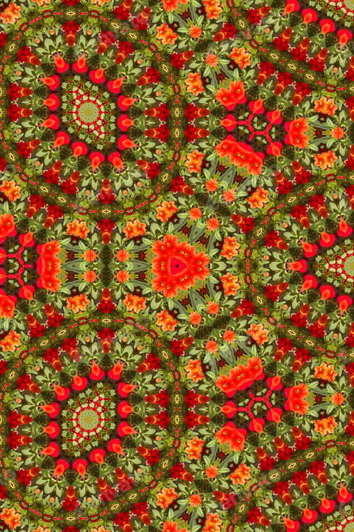 Preview: Abstract Of A Calibrachoa Plant With Bright Multicolor Flowers 1849
