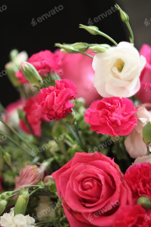 Preview: A Bouquet Of Red White And Pink Roses 1685