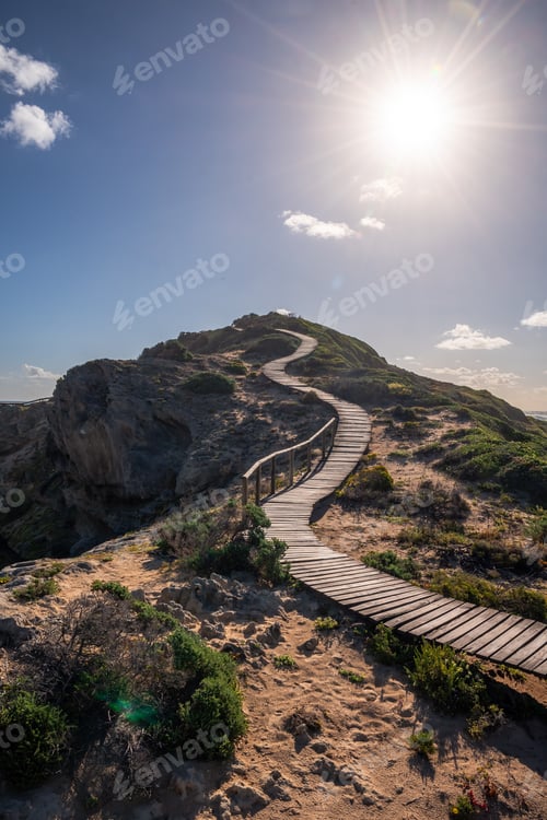Preview: Portrait Photo Of A Curvy Boardwalk Going Up A Slopes Covered With Grass With The Sun In The