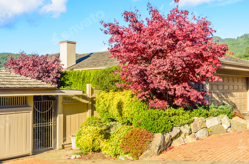 Preview: A Nice Entrance Of A Luxury House Over Outdoor Landscape.