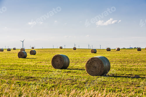 Preview: Field In Fall