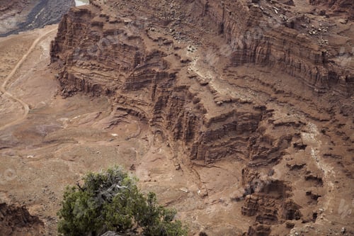 Preview: Rough Desert Landscape With Stones And Weathered Trees