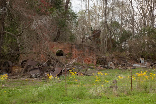 Vista previa: Brick Ruins Of A Factory With Yellow Wild Flowers
