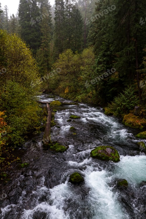 Preview: View Point Along The Way To See Toketee Falls With Fog In The Mountains And One Golden Tree In