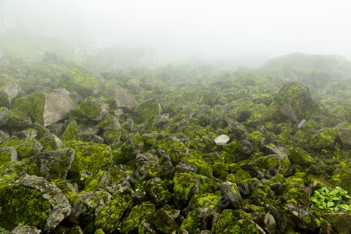 Preview: Image Of Foggy Mountain. Green Hill Full Of Moss.