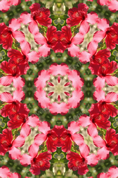 Preview: A Hibiscus Plant Abstract With Bright Pink Flowers 4269