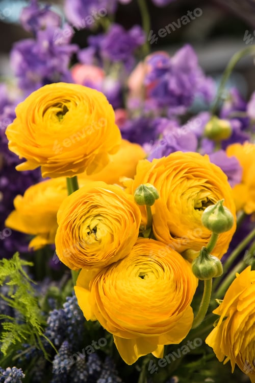 Preview: Bouquet Of Fresh Yellow Ranunculus Flowers