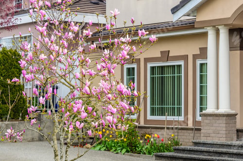 Preview: A Perfect Neighborhood. Houses In Suburb At Spring In The North America