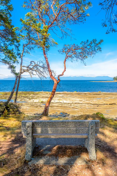 Preview: Rocky Beach And Ocean Scenic For Vacations And Summer Getaways