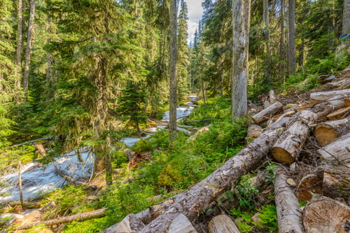 Preview: Majestic Mountain River In Canada. Upper Joffre Lake Trail In British Columbia.