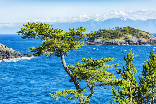 Preview: Wonderful Day In Sooke Point, East Sooke, Vancouver Island.