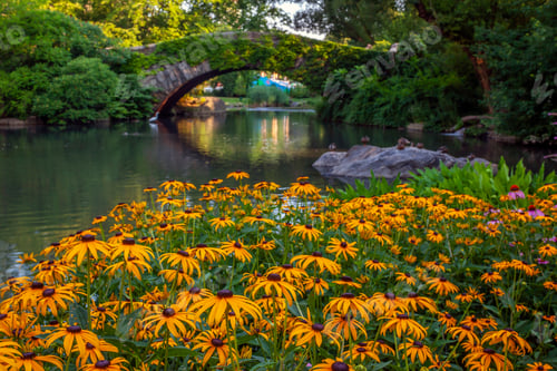 Preview: Gapstow Bridge In Central Park In Spring With Flowers