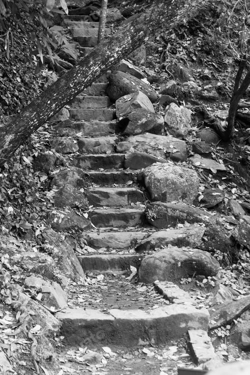 Preview: Stone Stairs Going Up In Black And White