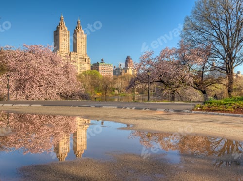 Preview: Spring In Central Park, New York City