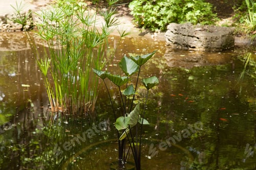 Preview: Garden With Flowers For Background