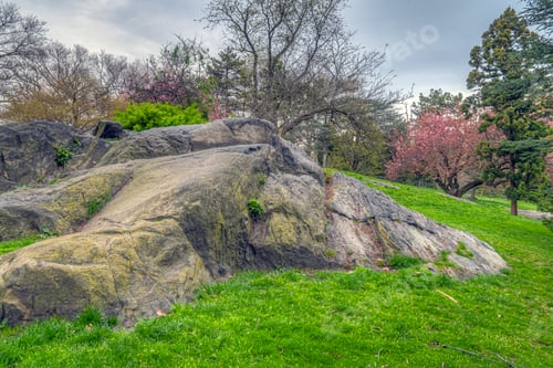 Preview: Spring In Central Park, New York City