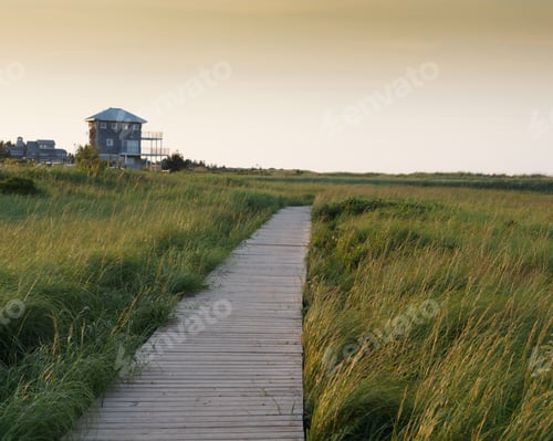 Preview: Boardwalk Across Field With Houses In The Background, Prince Edward Island, Canada