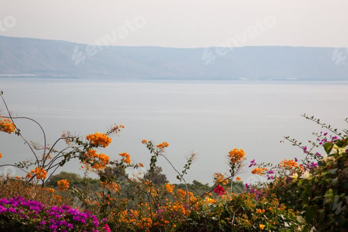 Preview: Sea Of Galilee From Tiberais, Israel