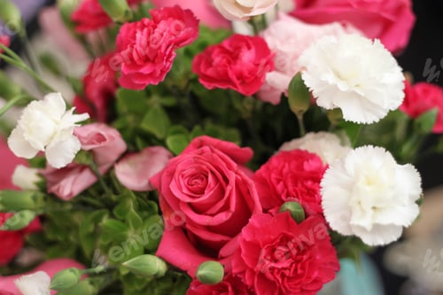 Preview: A Bouquet Of Red White And Pink Roses 1463