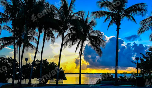 Preview: Day Break On The River. Palm Trees And A Park Bench In The Foreground As The Sun Breaks Through