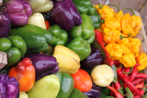Preview: A Market Display Of Fresh Chille, Bell And Habaneros Peppers. 2974