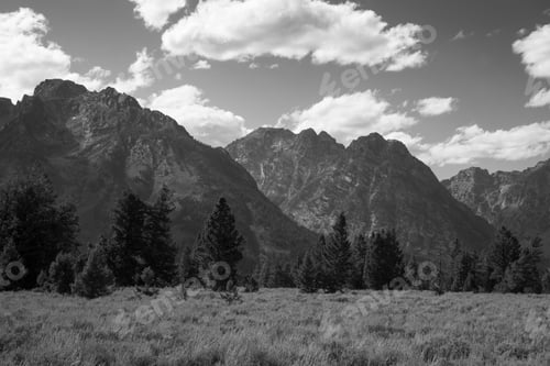 Preview: Teton Mountains In Black And White