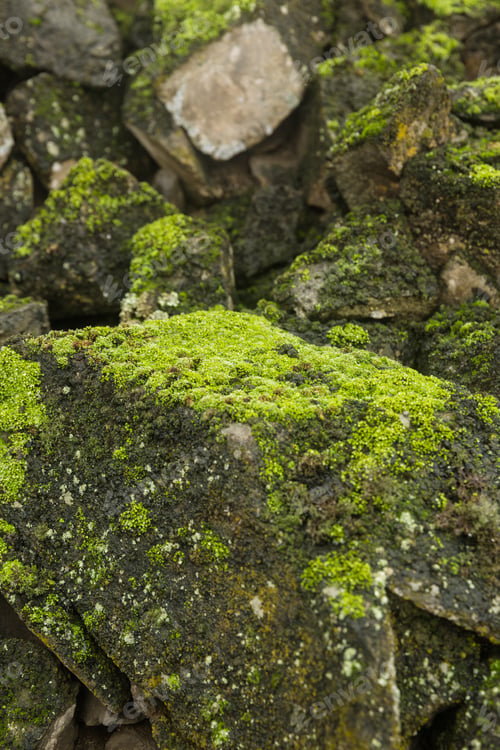 Preview: Image Of Foggy Mountain. Green Hill Full Of Moss.