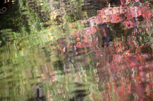 Preview: Natural Abstraction Of Fall Leaves Reflected In A Lake, With Red, Orange, Yellow And Green, And The