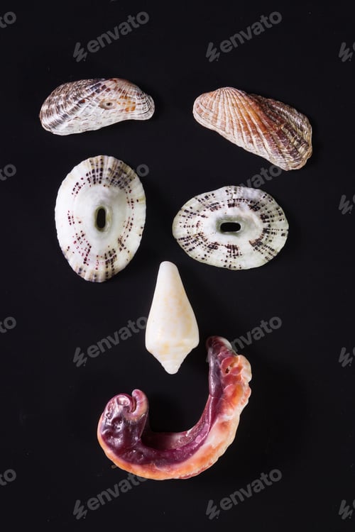 Preview: Sea Shells Arranged So That They Create A Face Emanating Emotion